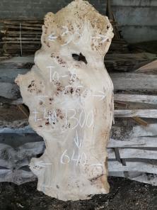 Слэбы из дуба, бука, ясеня, тополя, вербы, карагача.