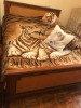 .Антикварная мебель для спальни.